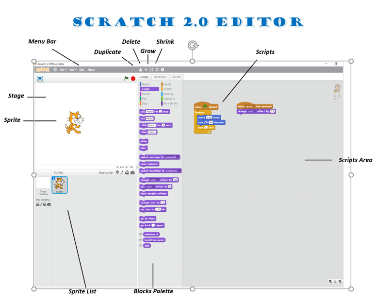 Scratch Editor With Labels