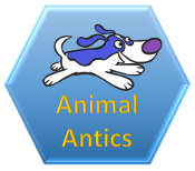 Animal Antics Coding Badge