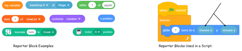 Scratch Programming Reporter Block Examples