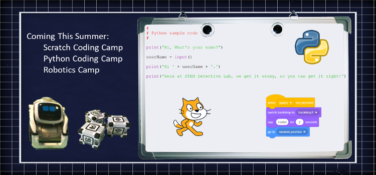 These are a few examples of what your kids can do in our coding camps.