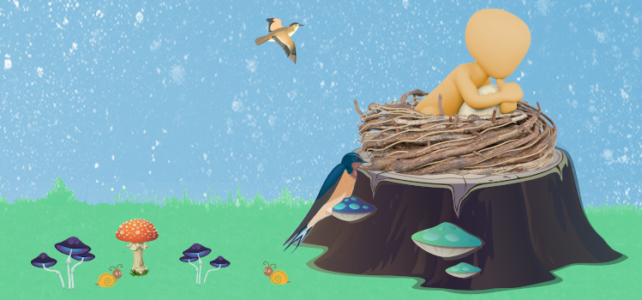 Build a Better Bird Nest Feature Image